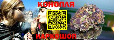 мяу мяу мука Кингисепп