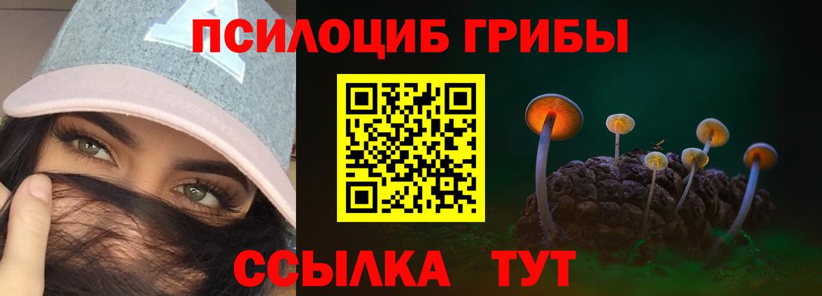 Киров  Галлюциногенные грибы прущие грибы  Вход с VPN 